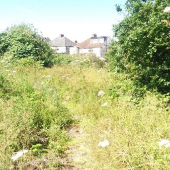 typical development site