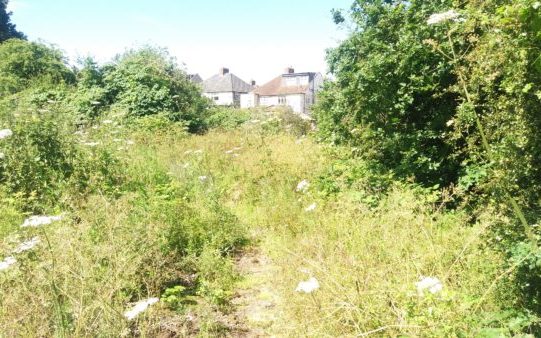 typical development site