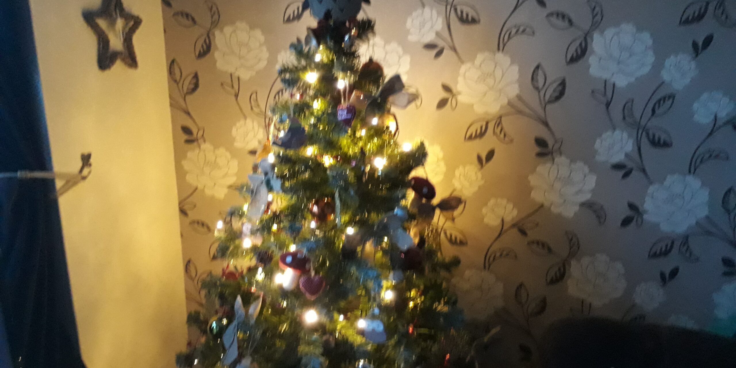 IMG_20181217_154440 Christmas Tree