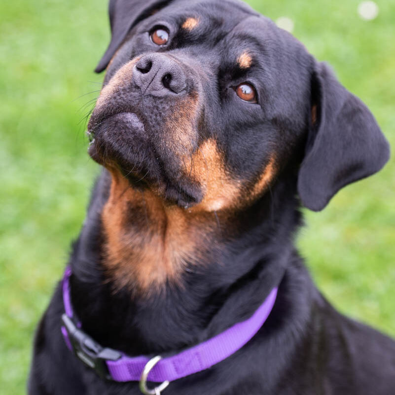 Cherryfield Staff Images -14